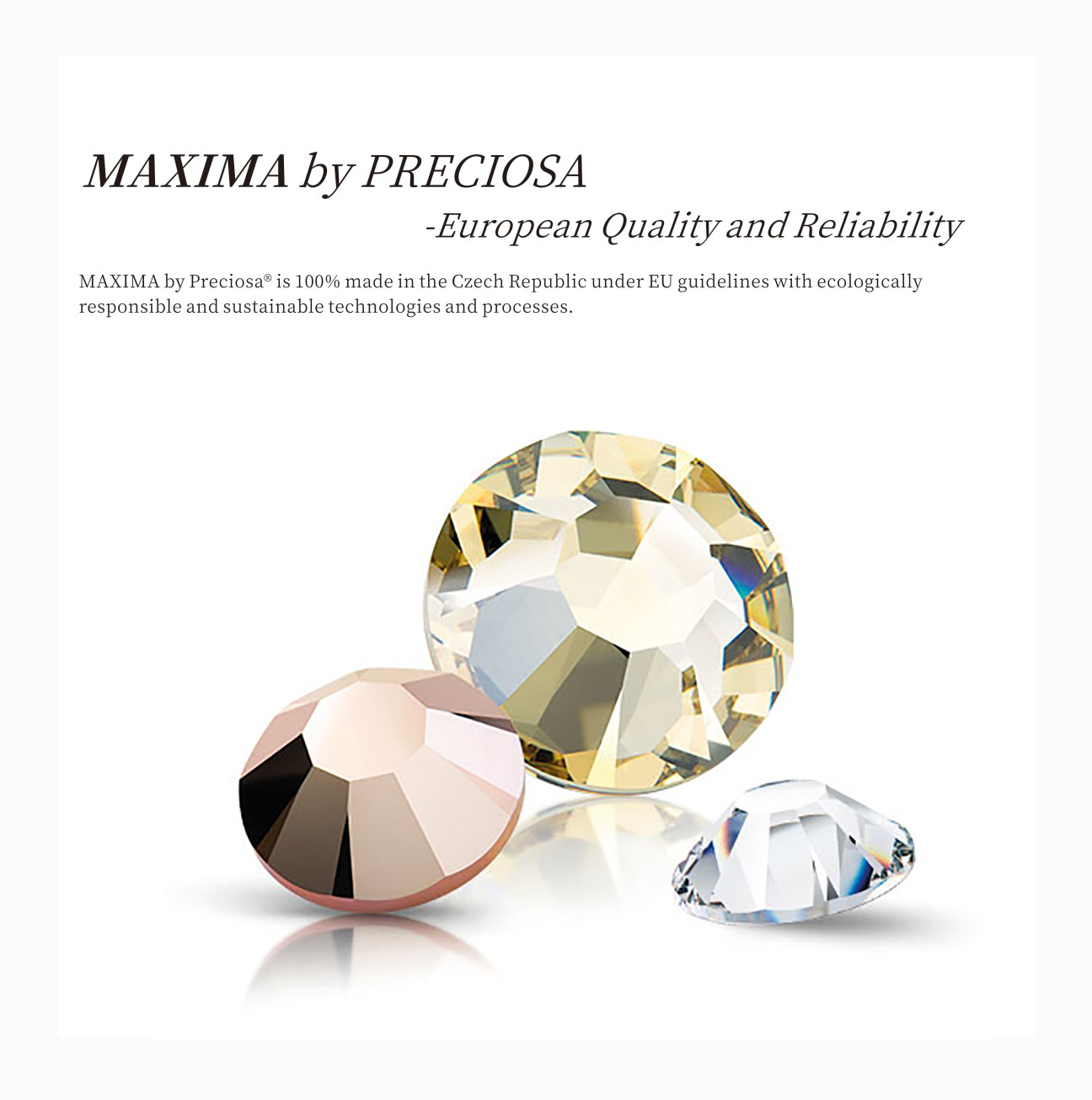 Chaton Rose MAXIMA European Quality