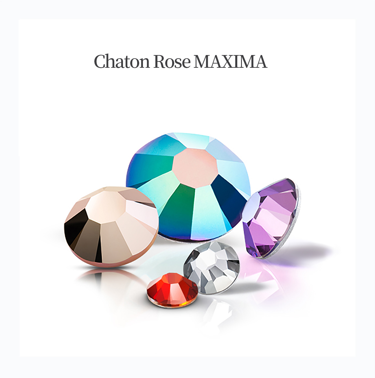 Chaton Rose MAXIMA by Preciosa